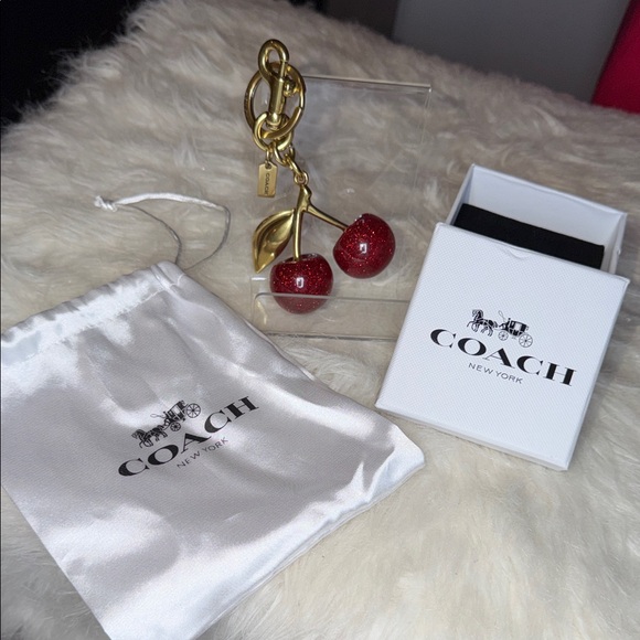 Coach Accessories - Coach  large sparkle keychain/bag charm with silk bag and box.NWOT